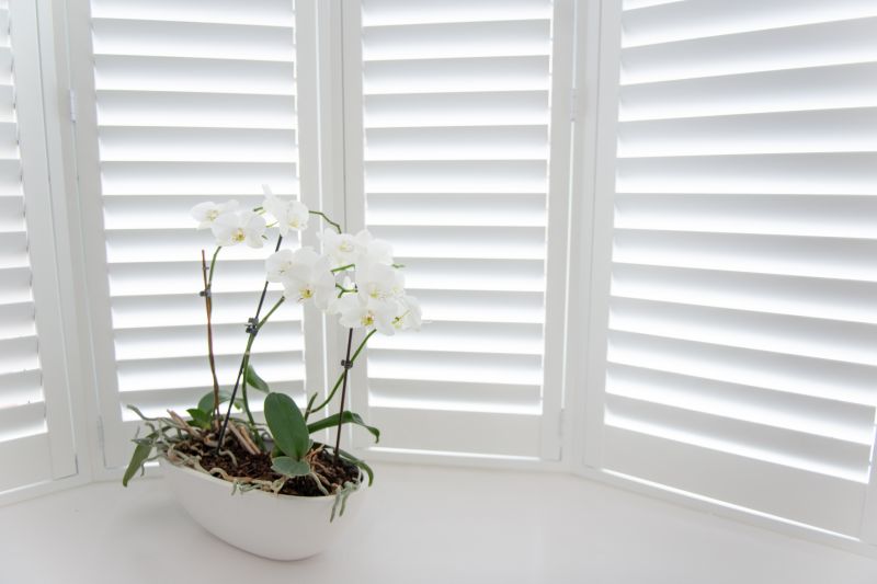 Exterior Shutters Installation in Longmont, CO